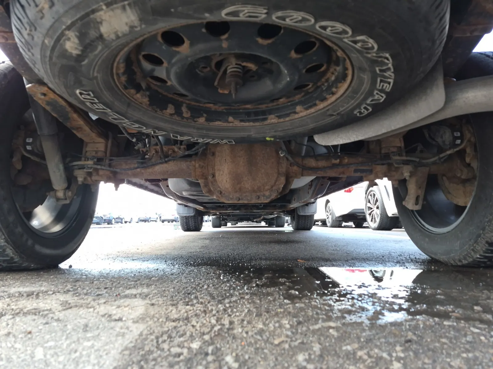 Undercarriage - Rear Photo