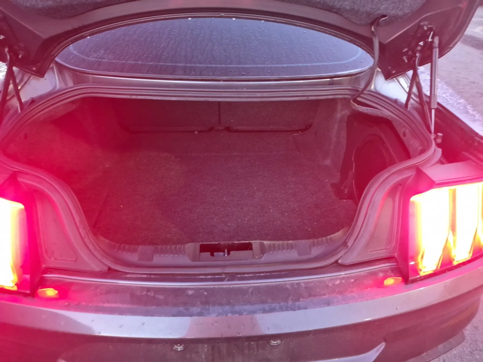 Cargo Area Photo