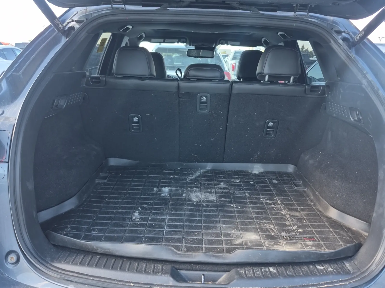 Cargo Area Photo