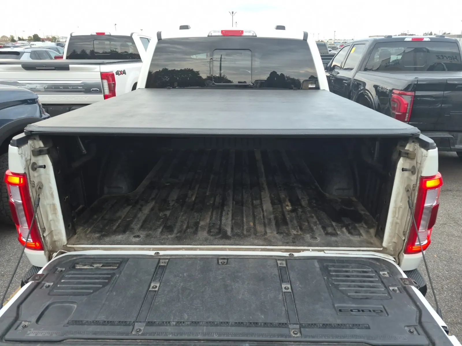 Cargo Area Photo