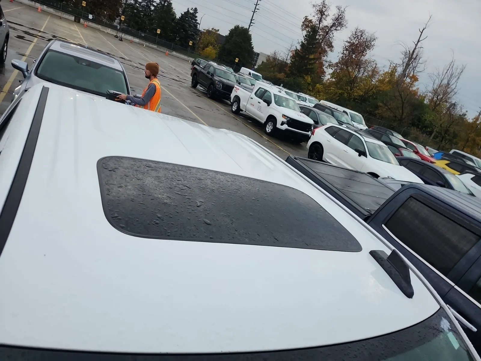 Exterior Roof Photo