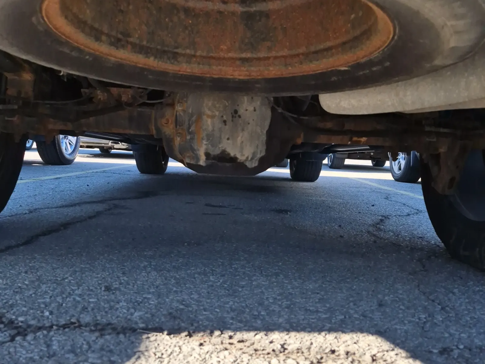 Spare Tire & Wheel Photo