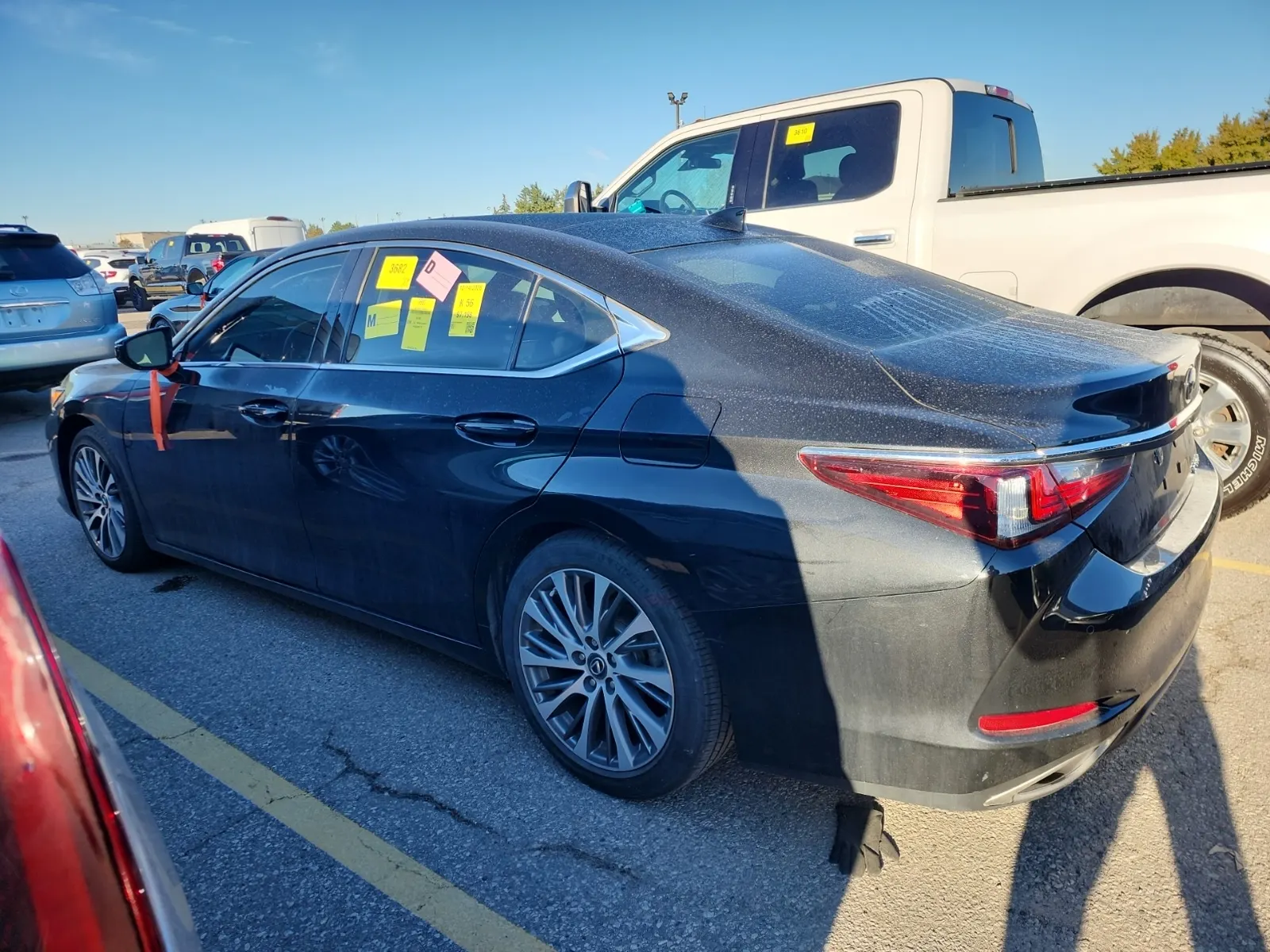 Driver Rear 3/4 Photo