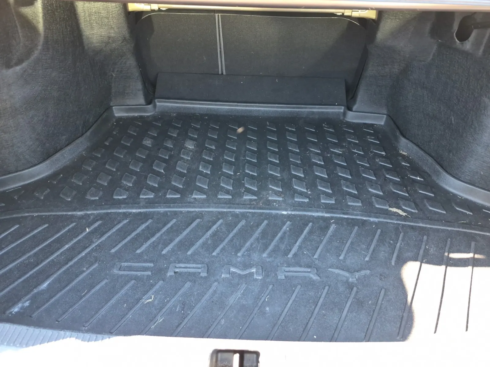 Cargo Area Photo