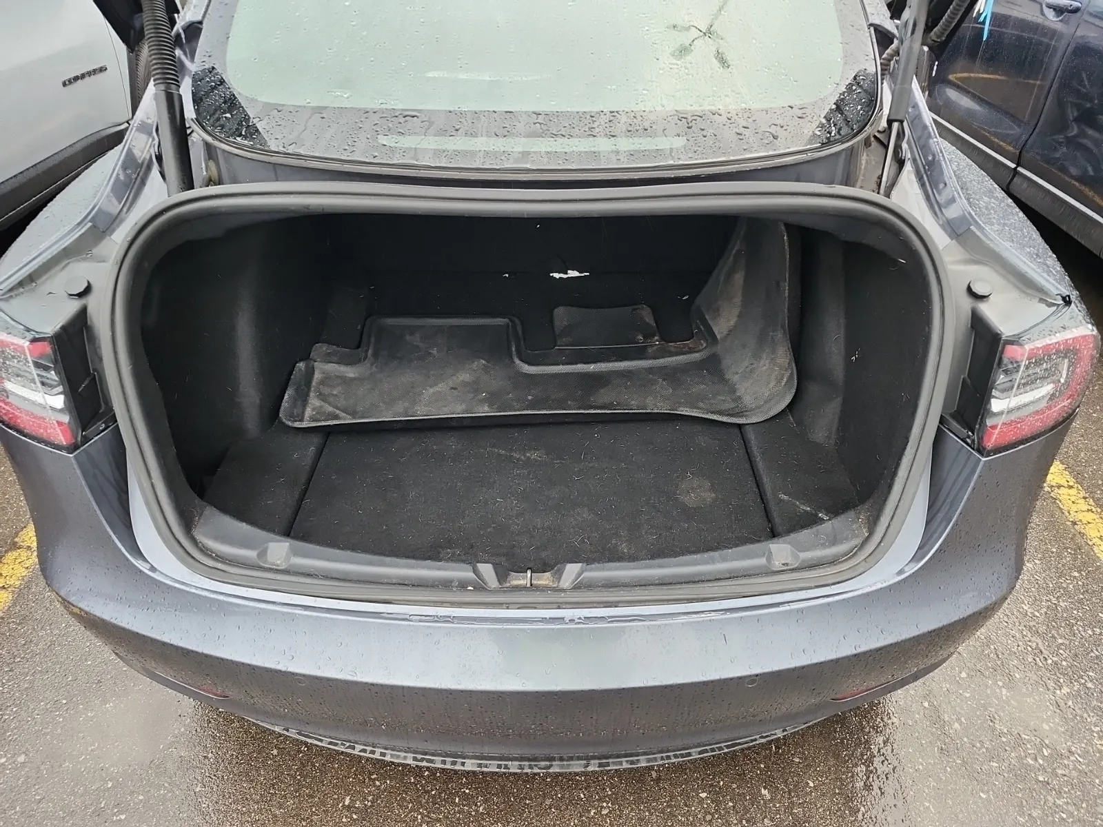 Cargo Area Photo