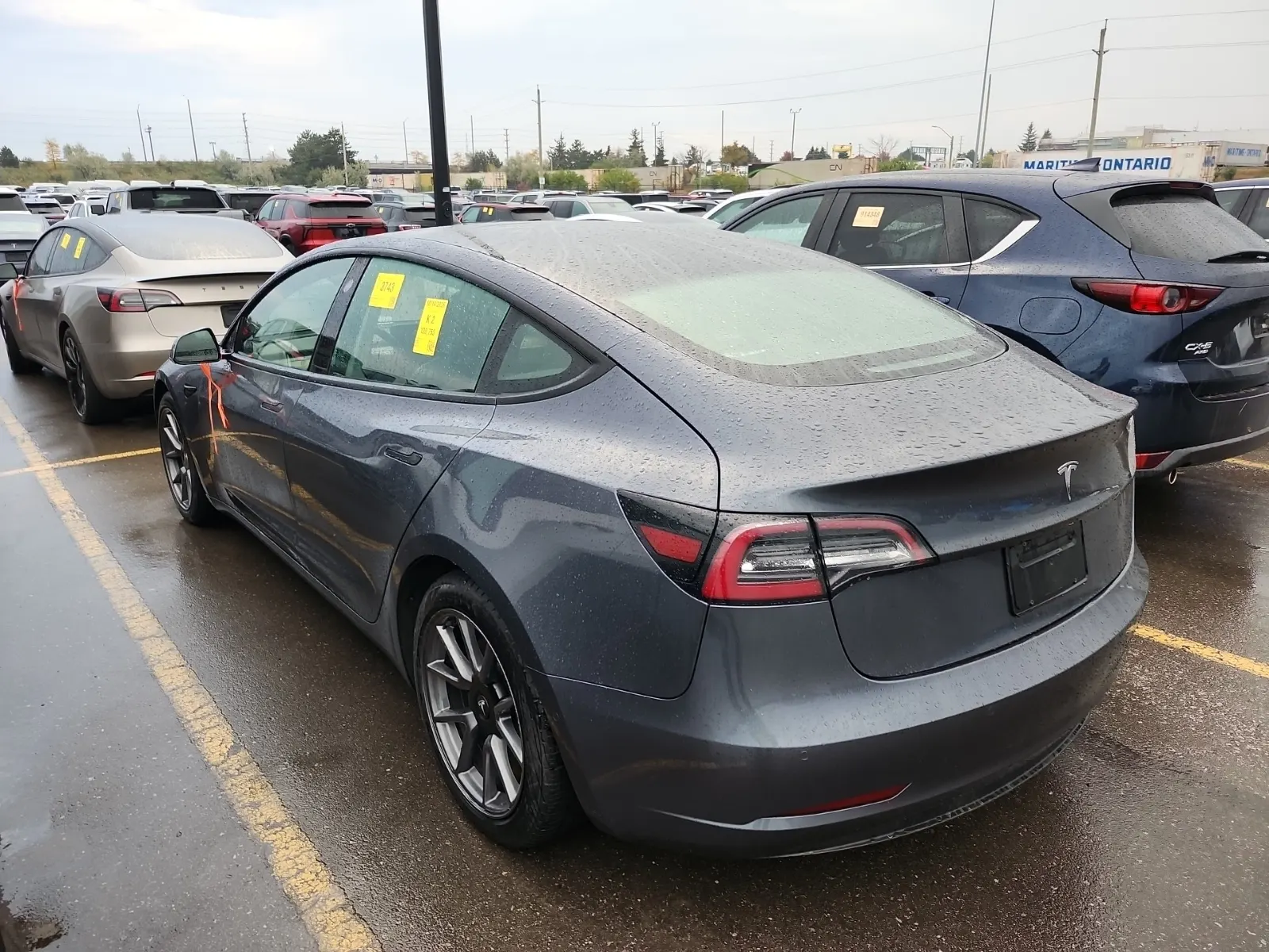 Driver Rear 3/4 Photo