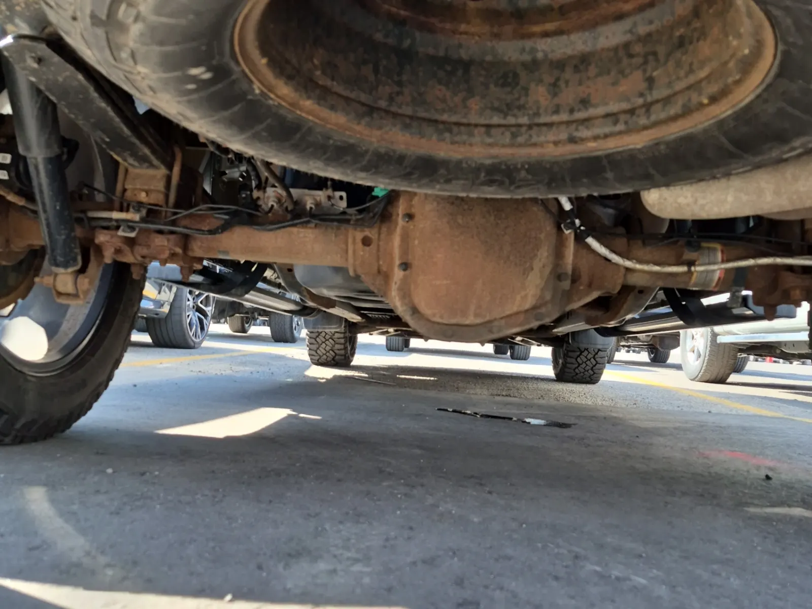 Undercarriage - Rear Photo