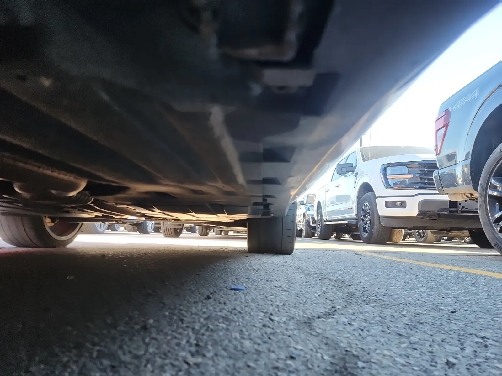 Undercarriage - Driver Photo