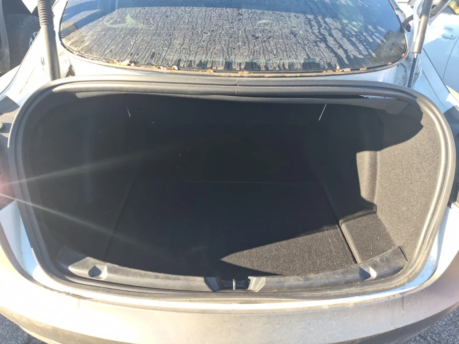 Cargo Area Photo