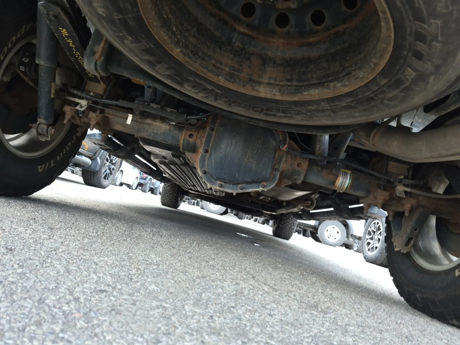 Undercarriage - Rear Photo
