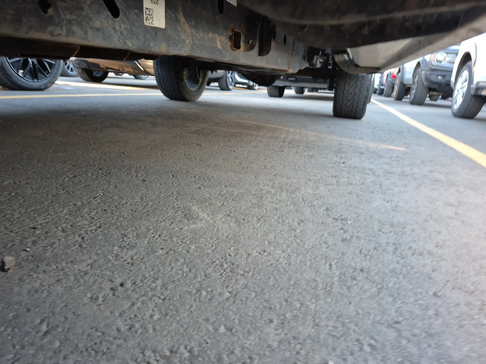 Undercarriage - Driver Photo