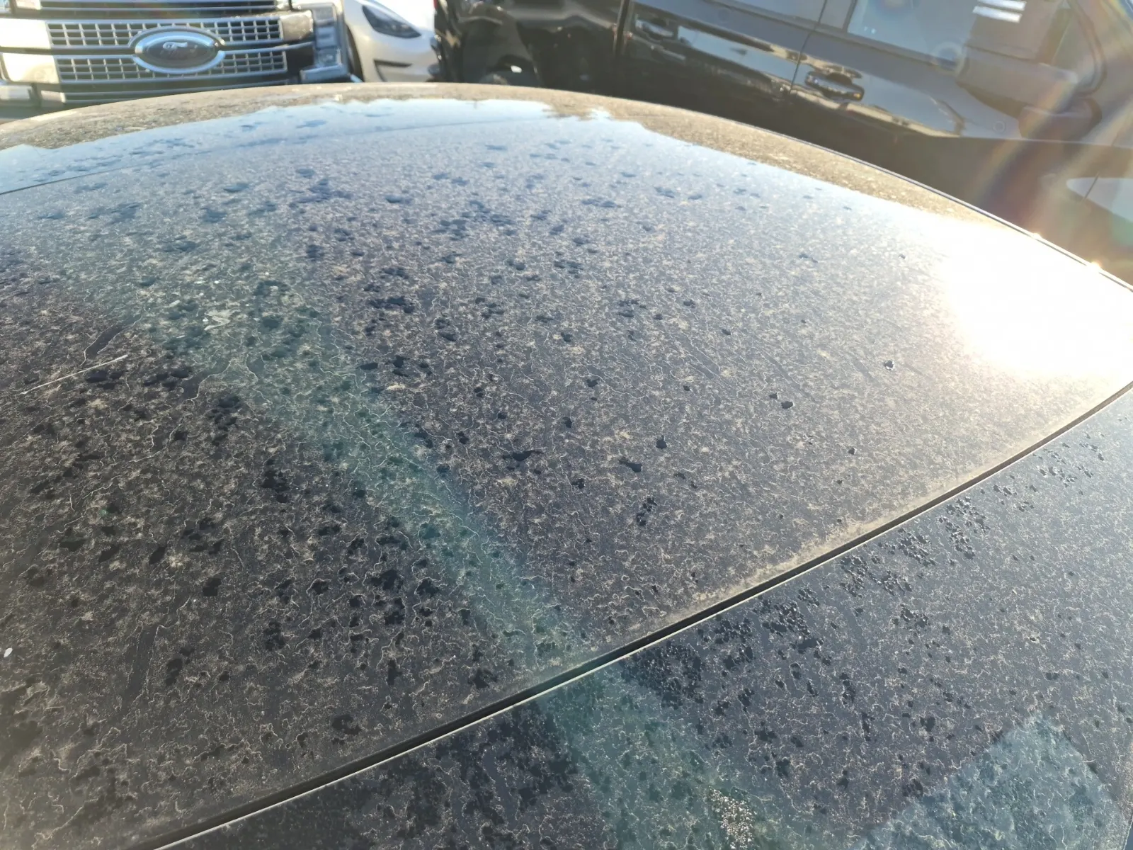 Exterior Roof Photo
