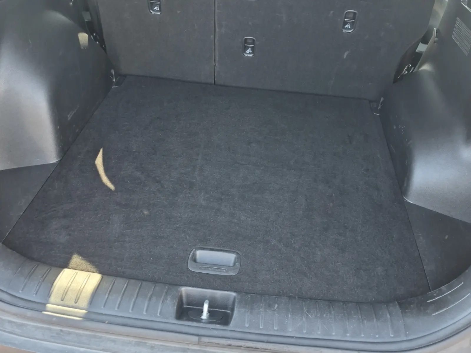 Cargo Area Photo