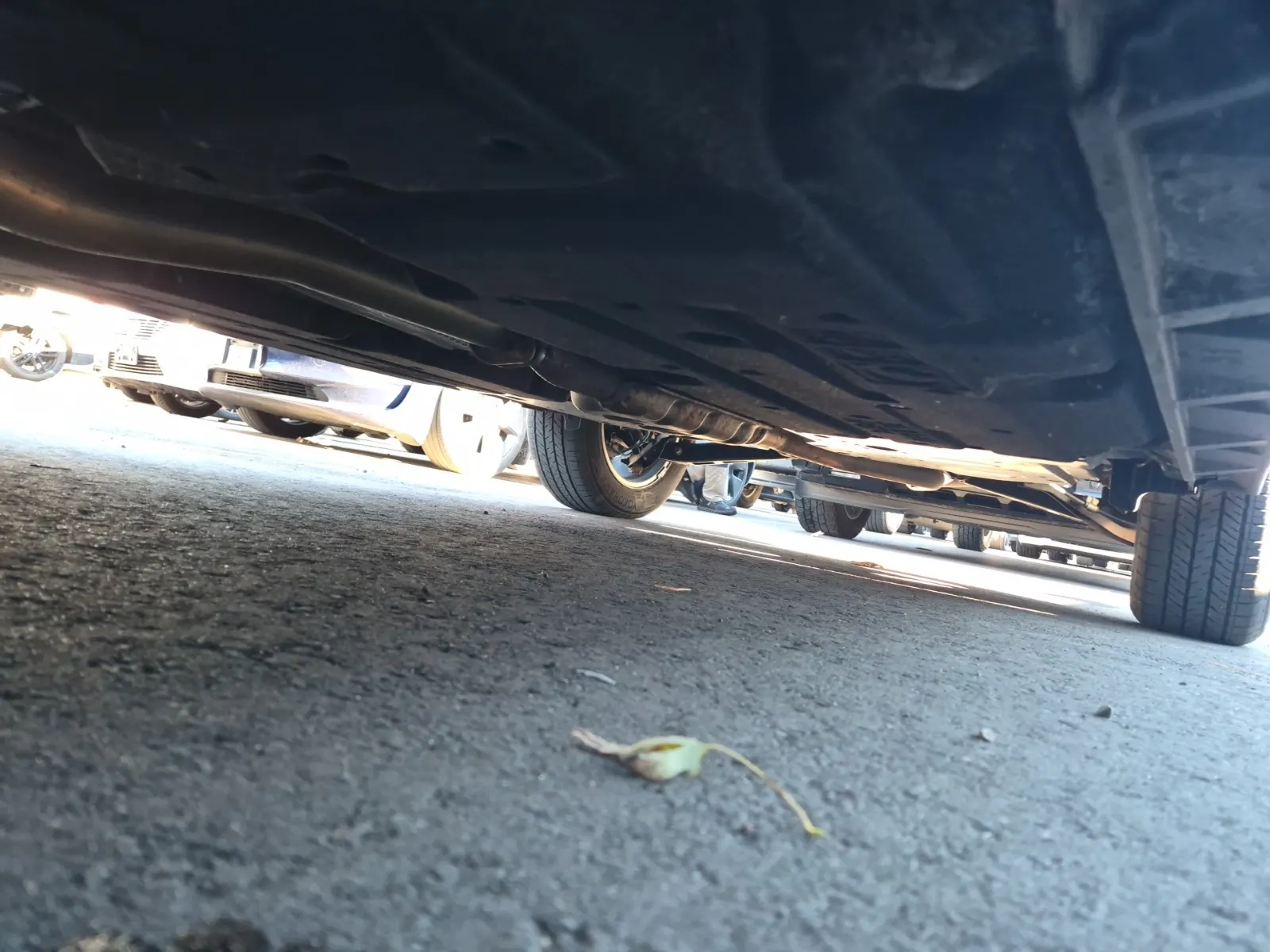 Undercarriage - Driver Photo