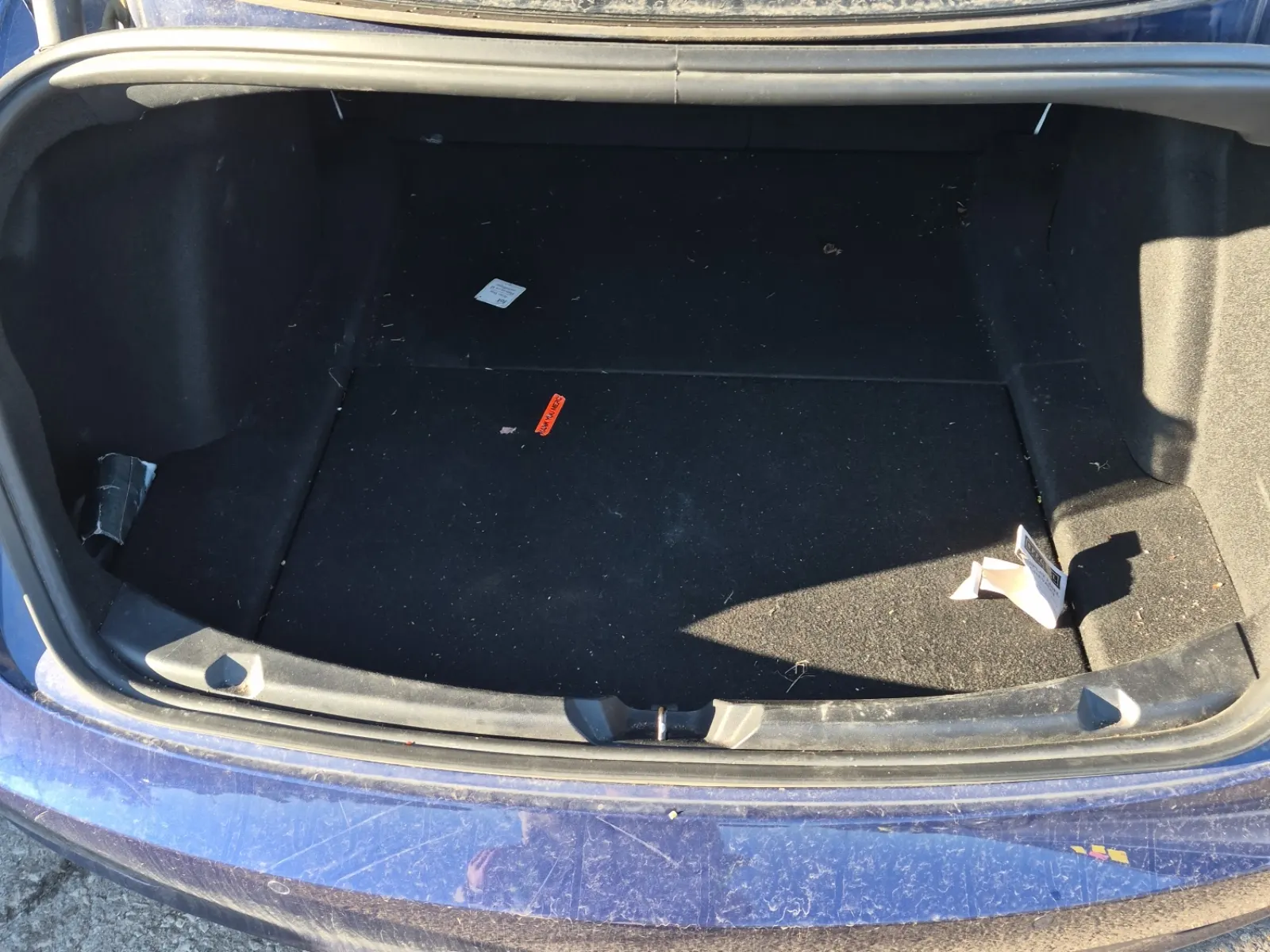 Cargo Area Photo