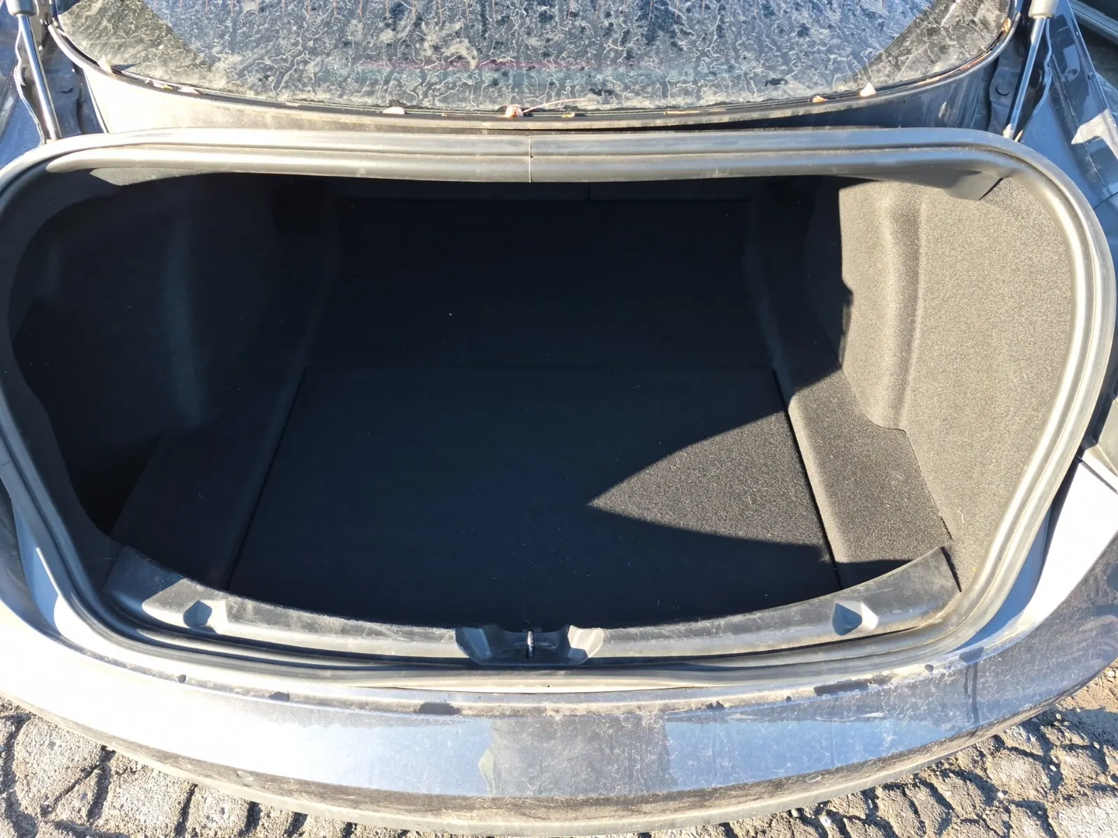 Cargo Area Photo