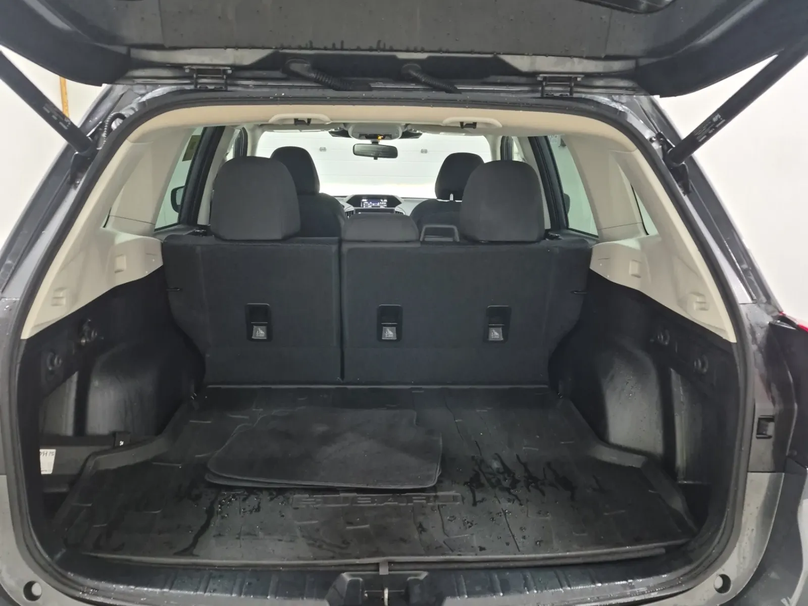 Cargo Area Photo