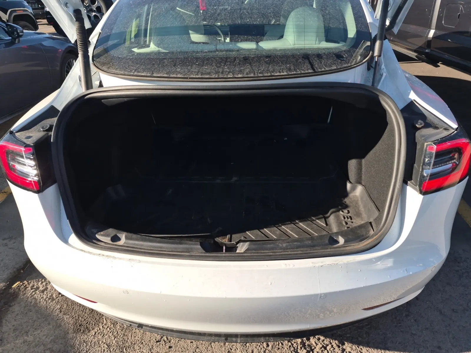 Cargo Area Photo