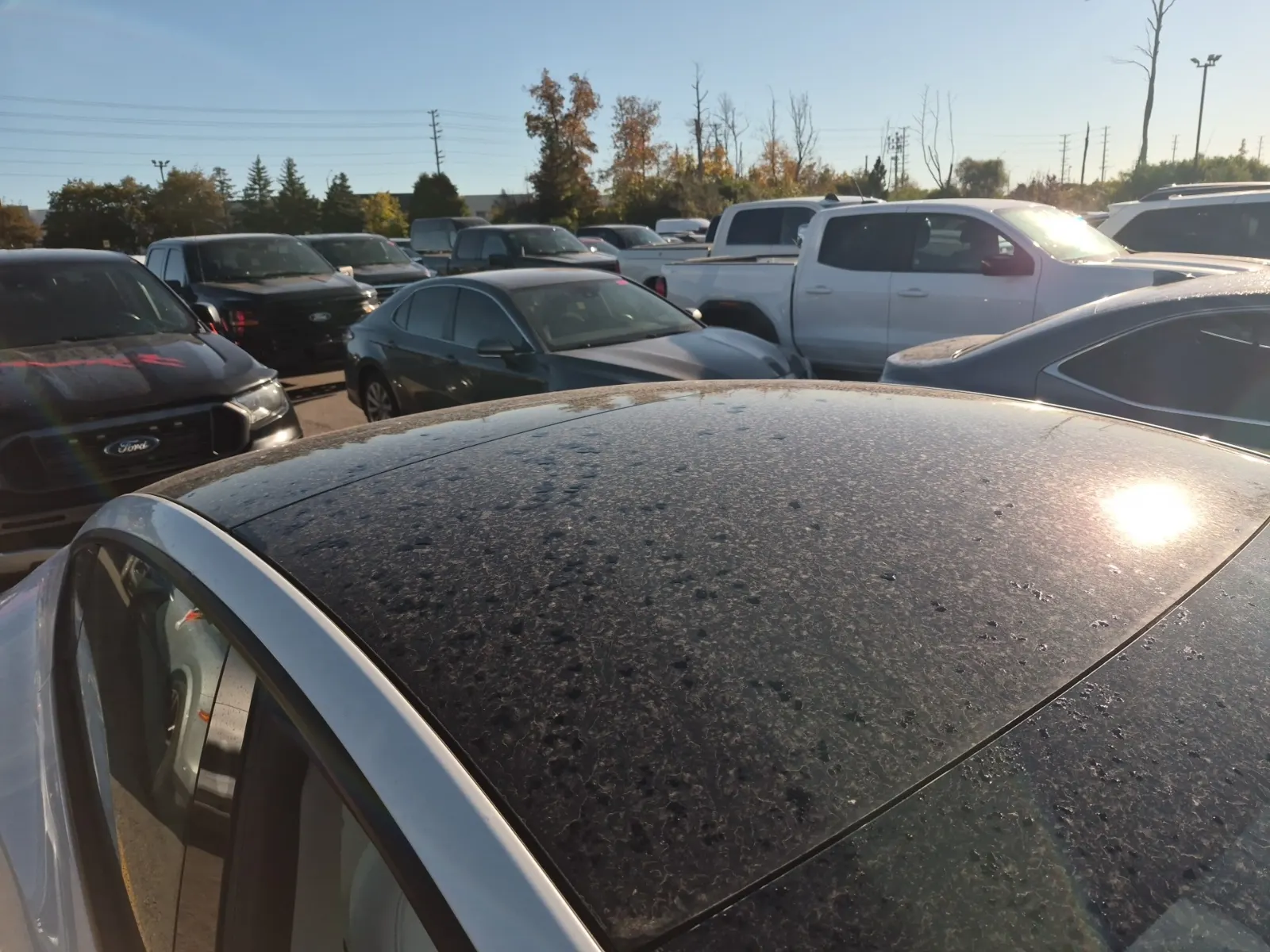Exterior Roof Photo