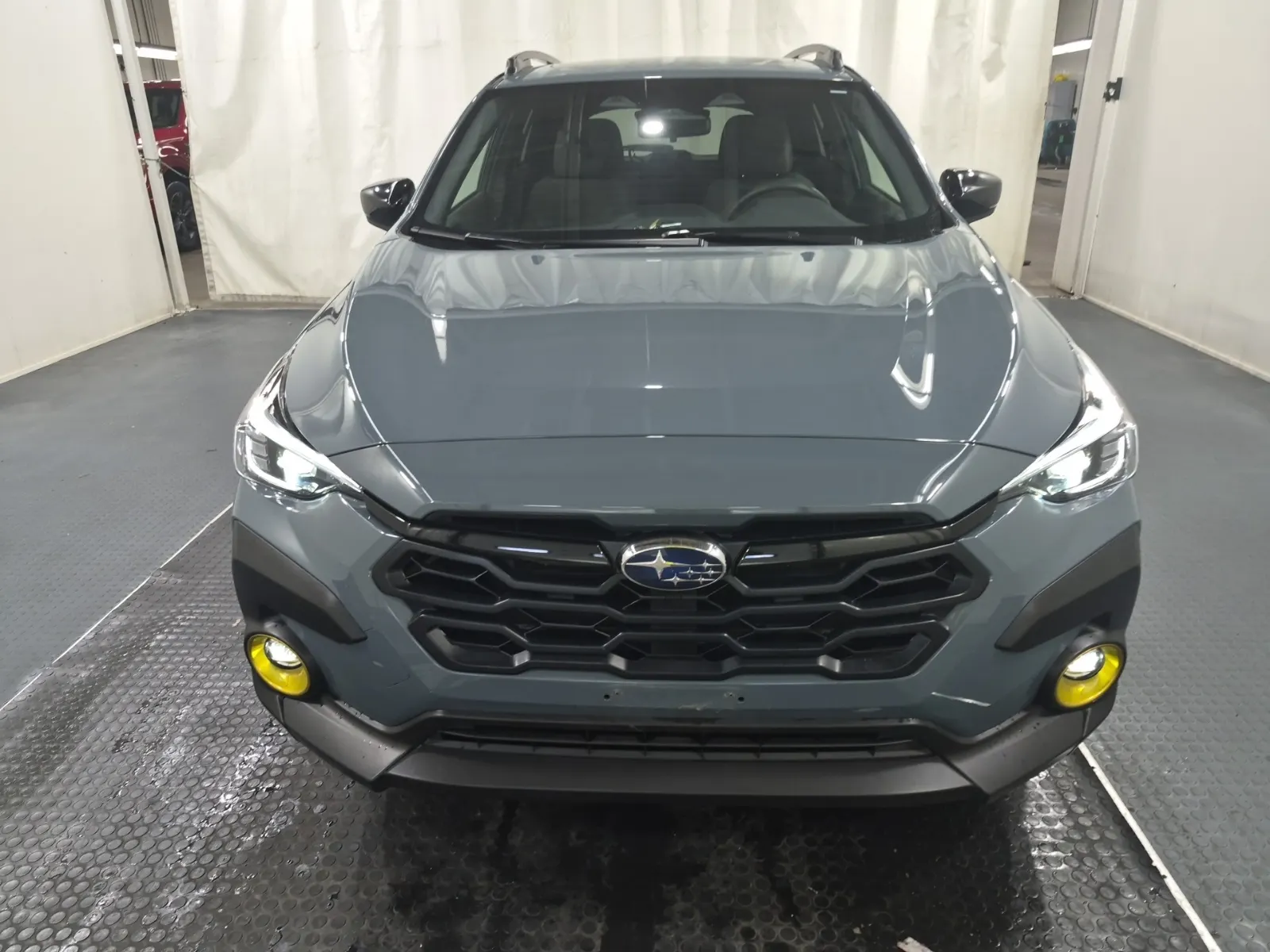 Full Front Photo