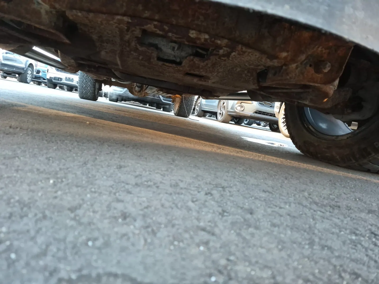 Undercarriage - Front Photo