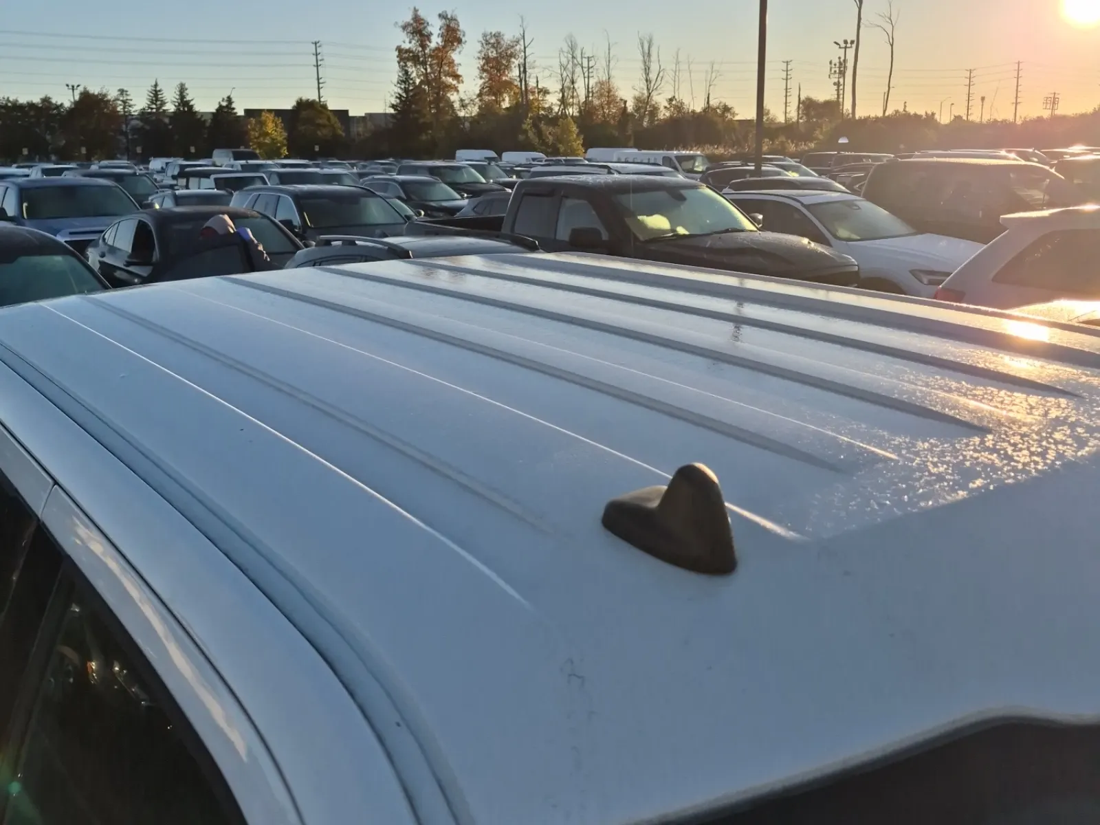Exterior Roof Photo