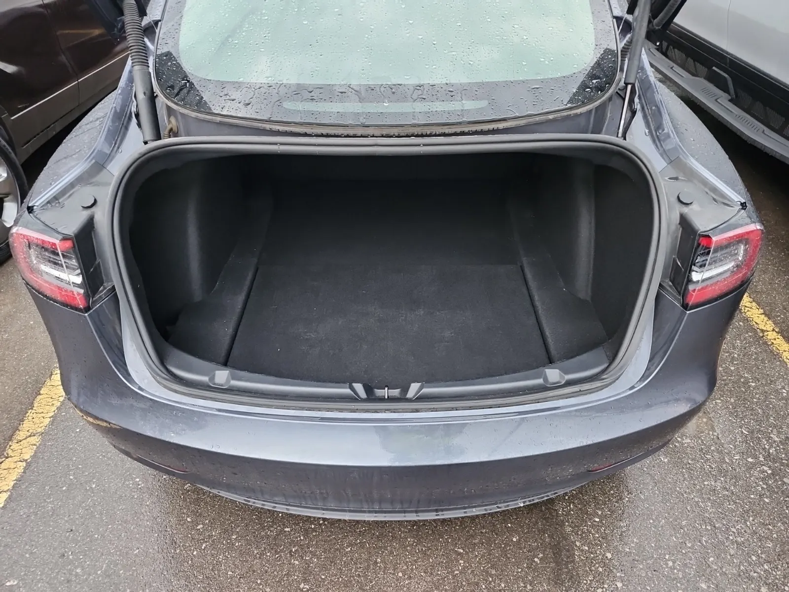 Cargo Area Photo