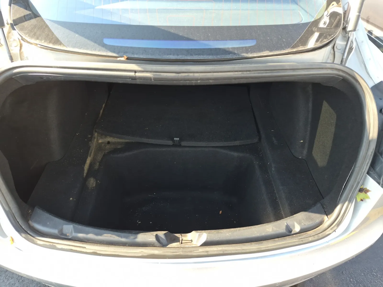 Cargo Area Photo