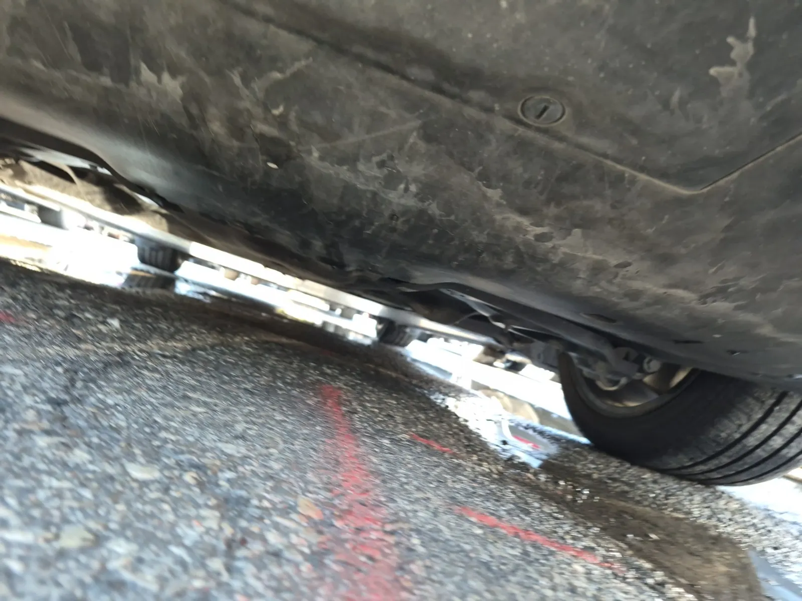 Undercarriage - Rear Photo