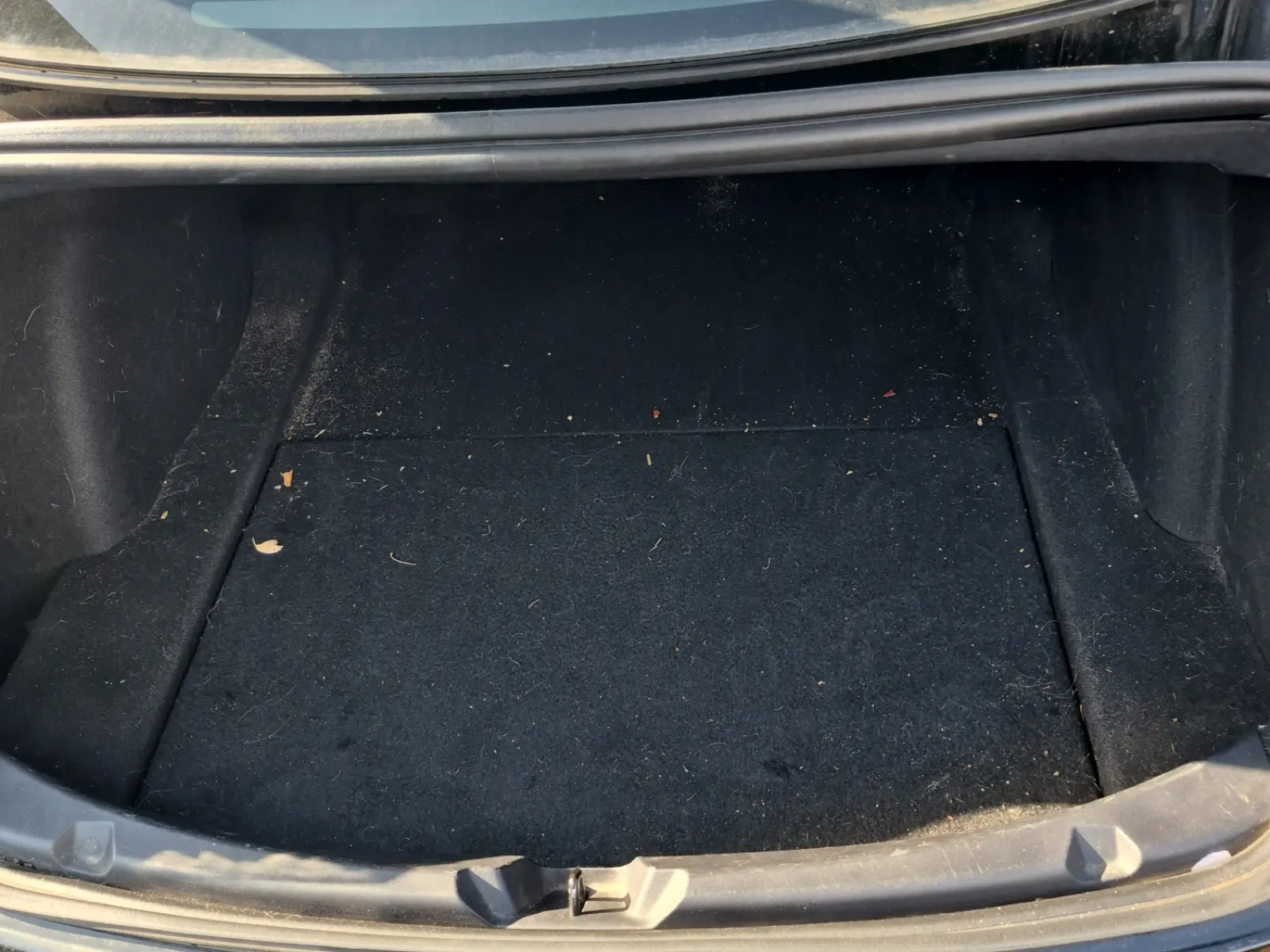 Cargo Area Photo