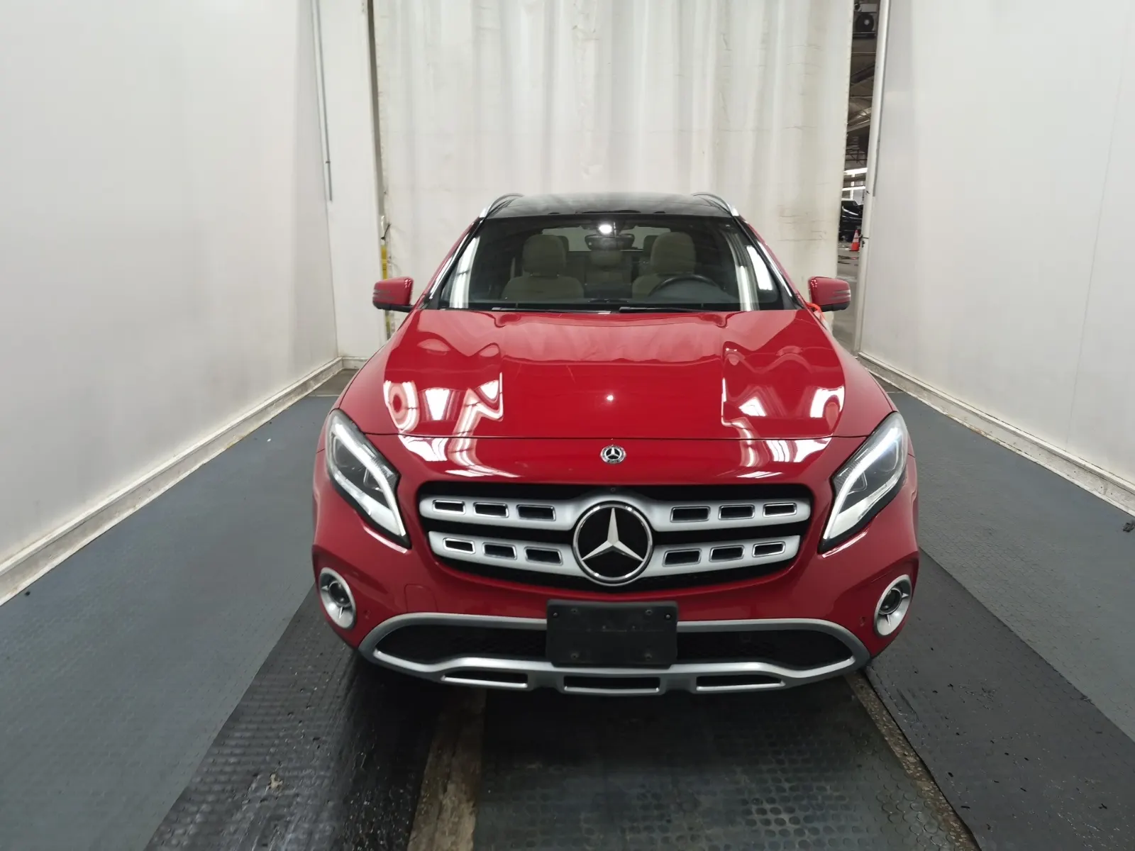 Full Front Photo