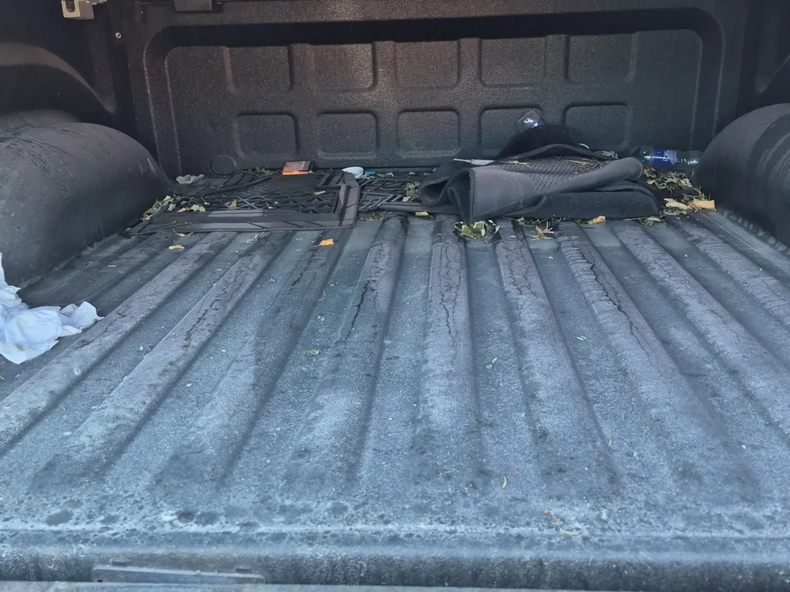 Cargo Area Photo