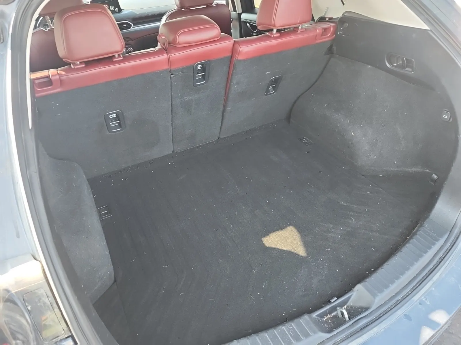 Cargo Area Photo