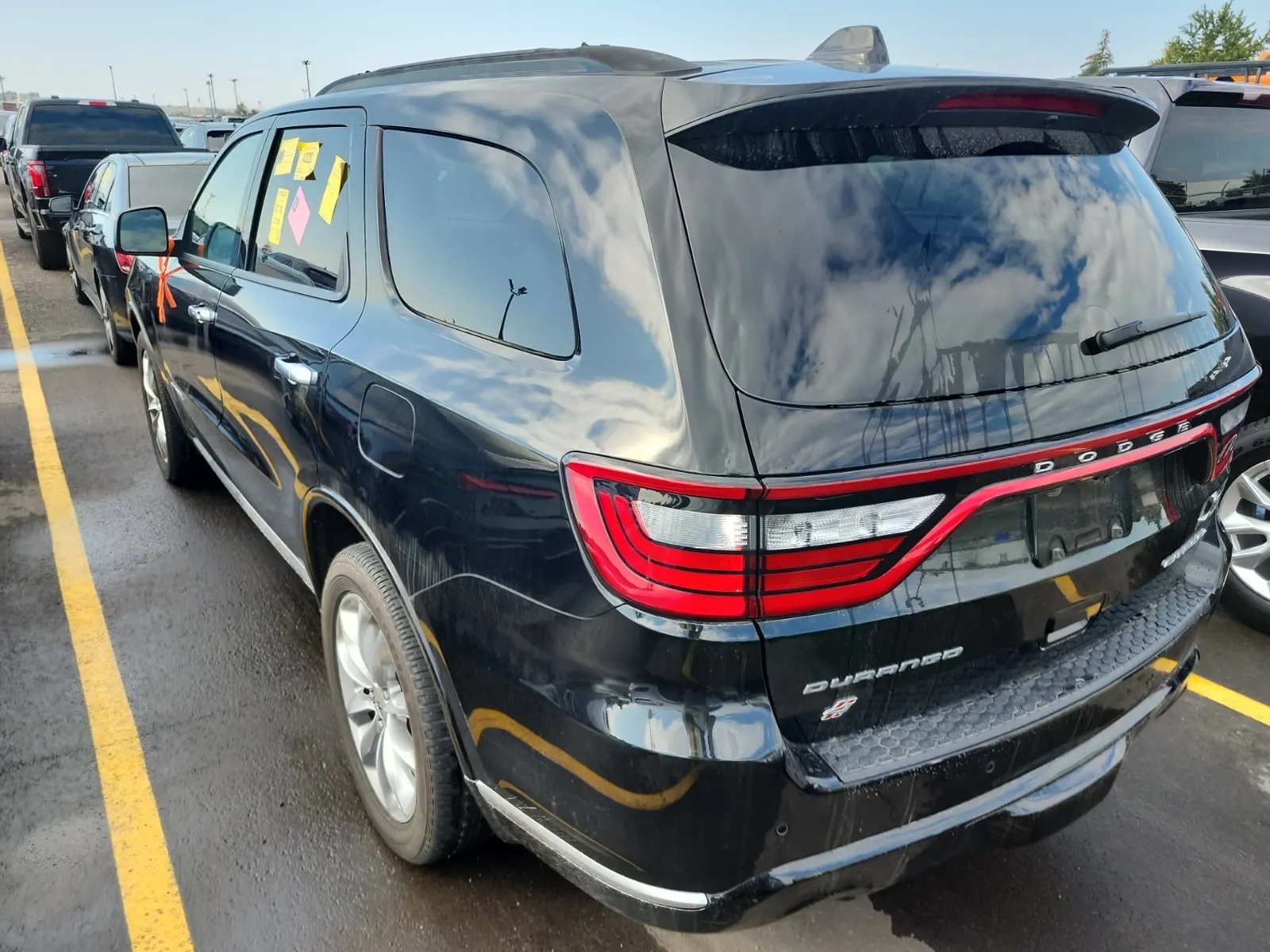 Driver Rear 3/4 Photo
