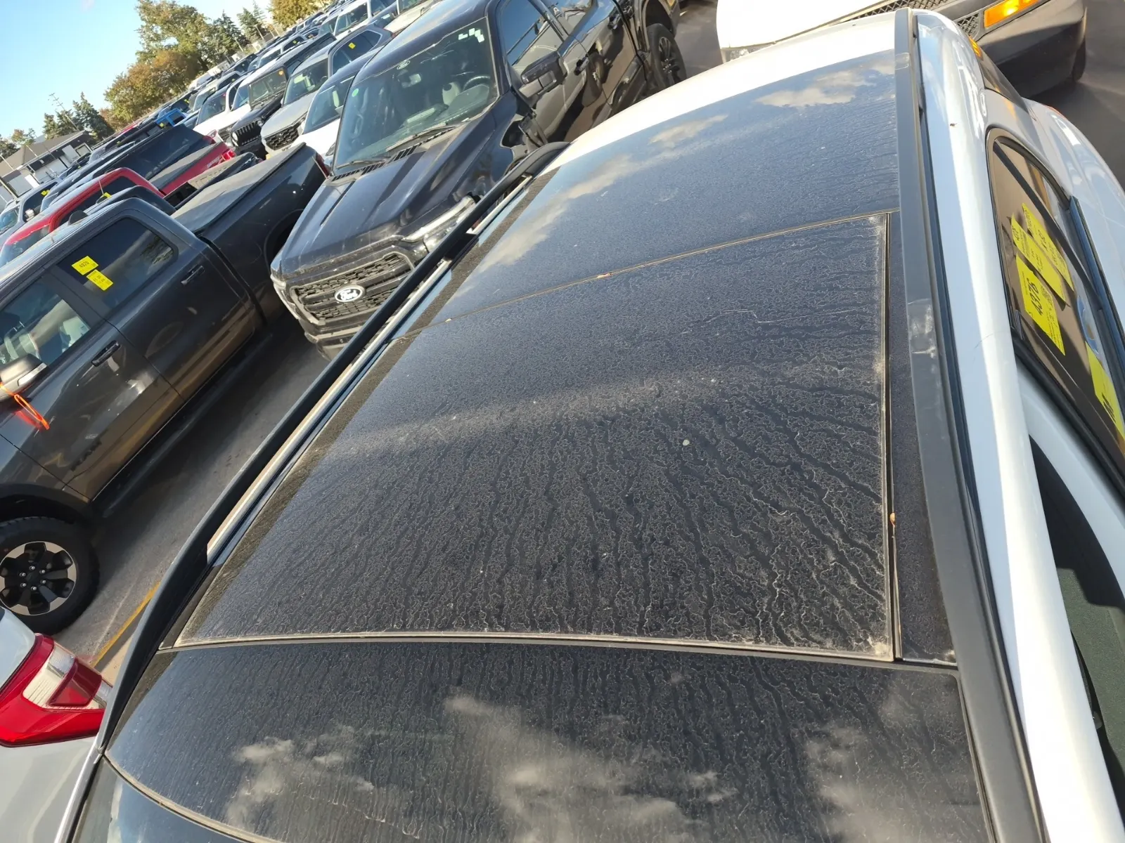 Exterior Roof Photo