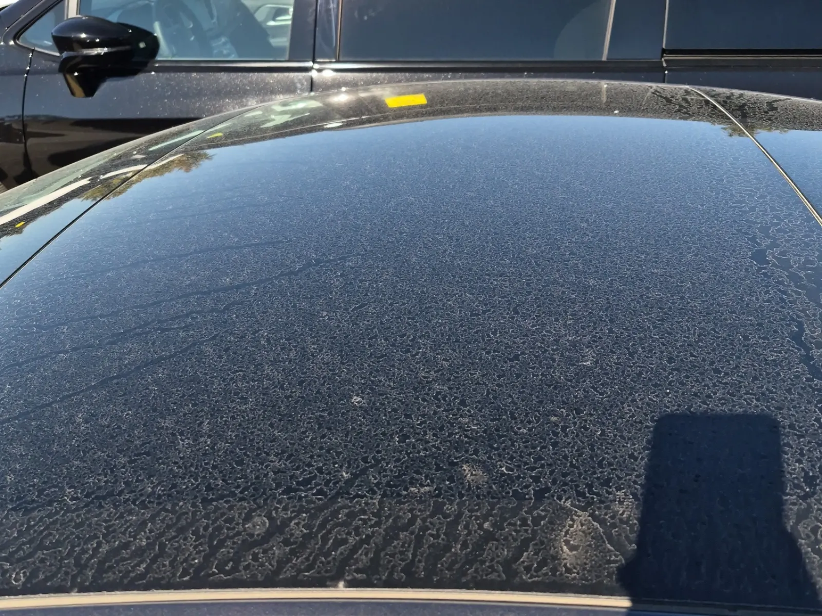 Exterior Roof Photo