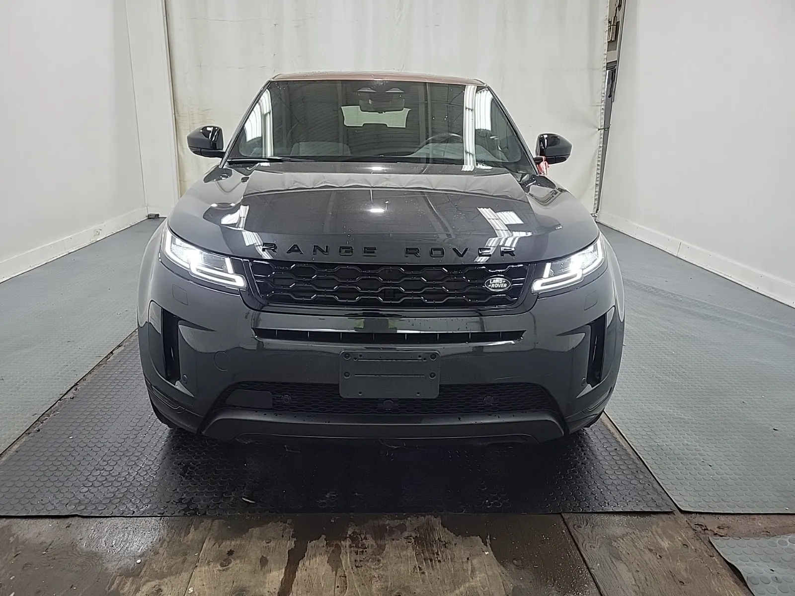Full Front Photo