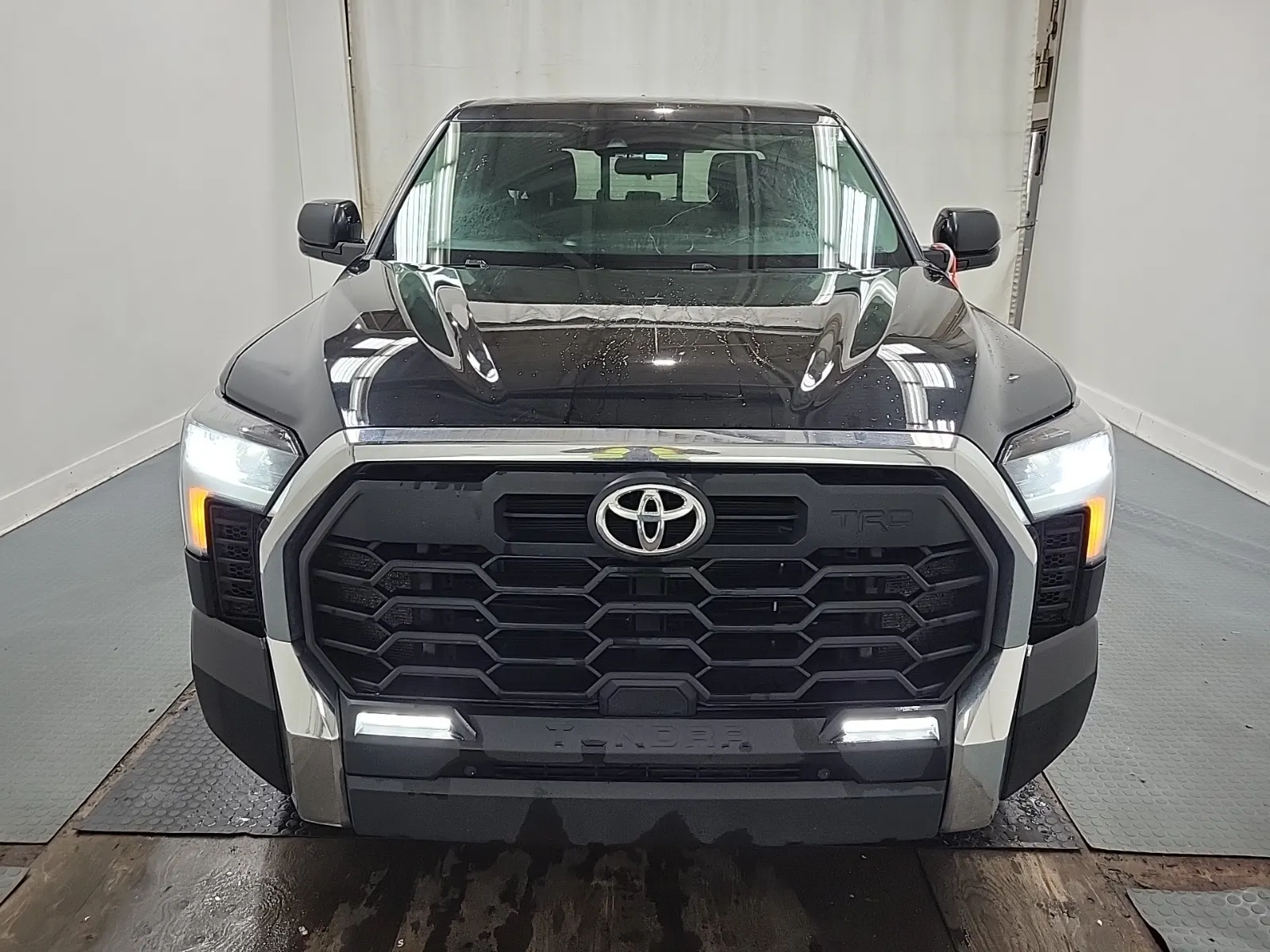 Full Front Photo