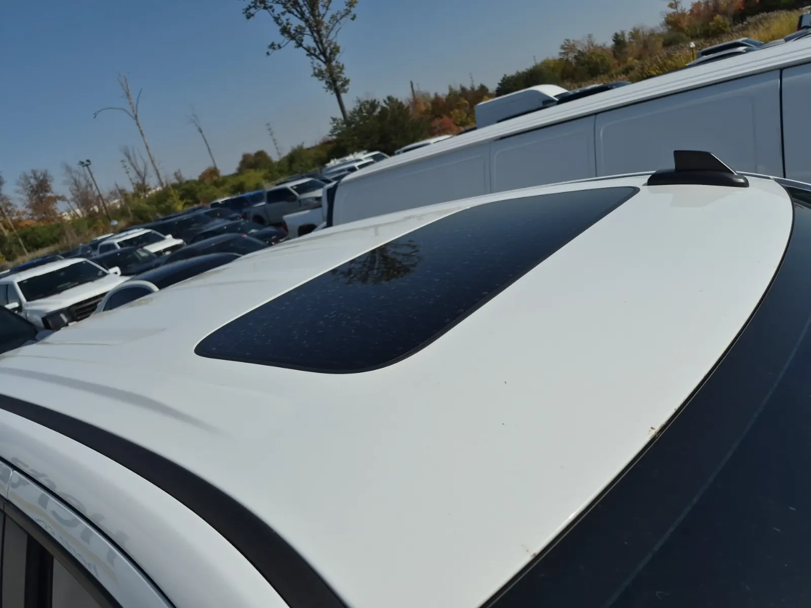 Exterior Roof Photo