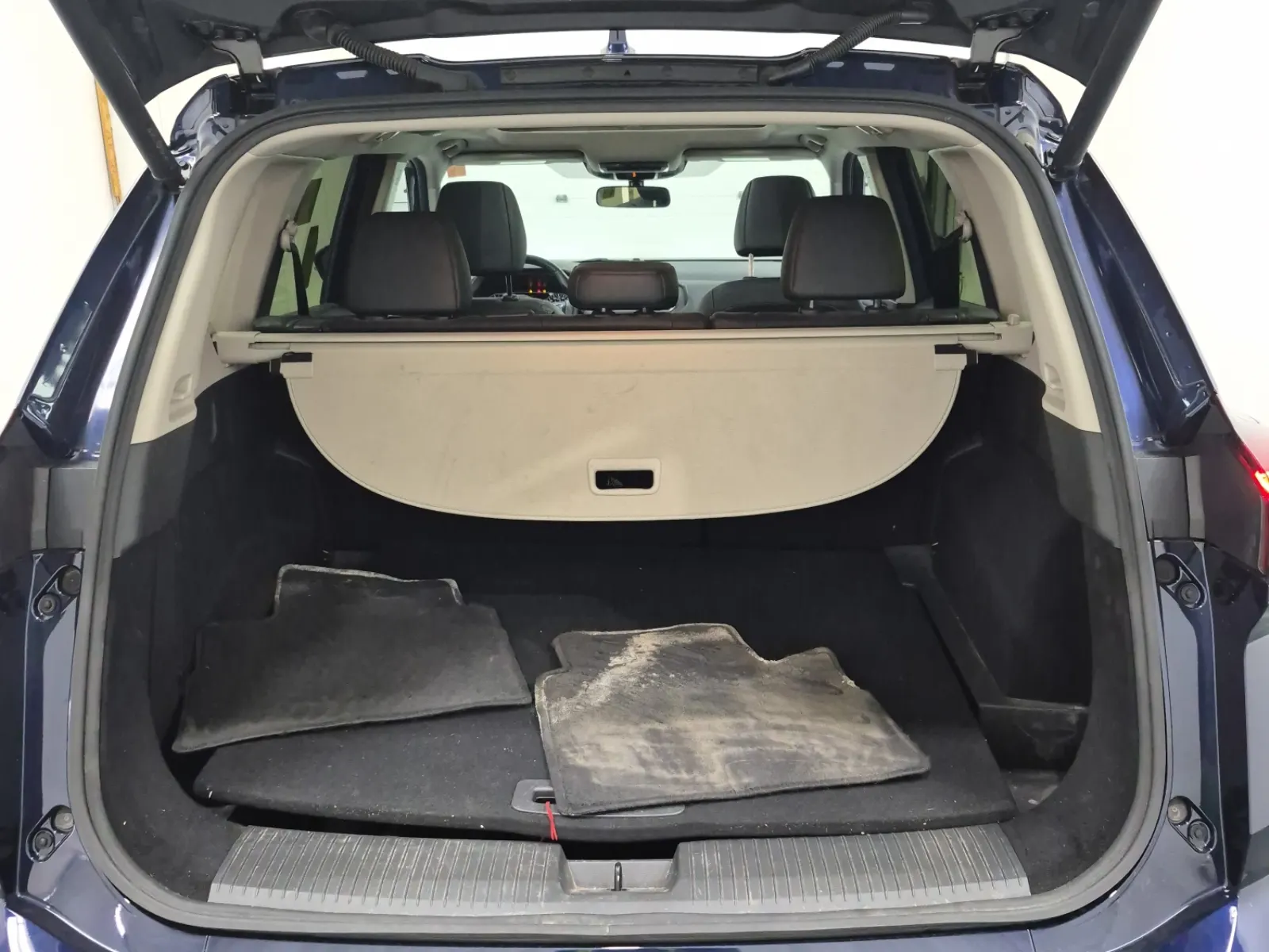 Cargo Area Photo