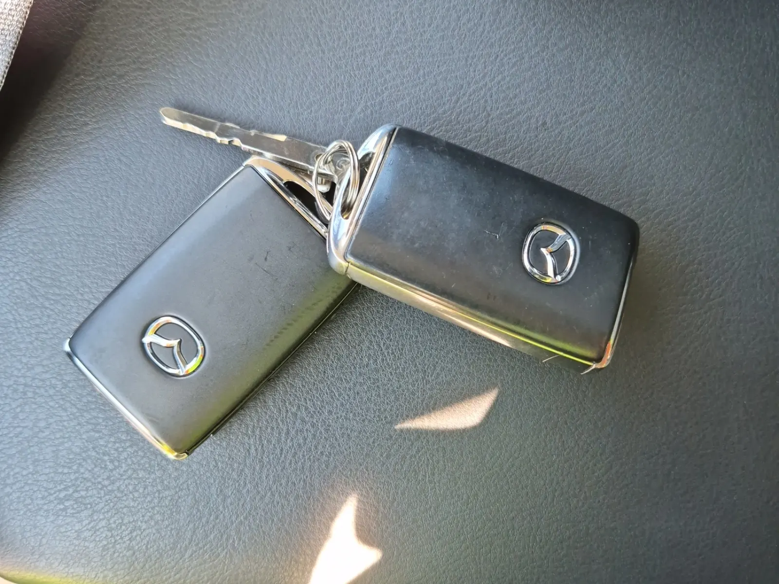 Keys/Fobs/Manual Photo