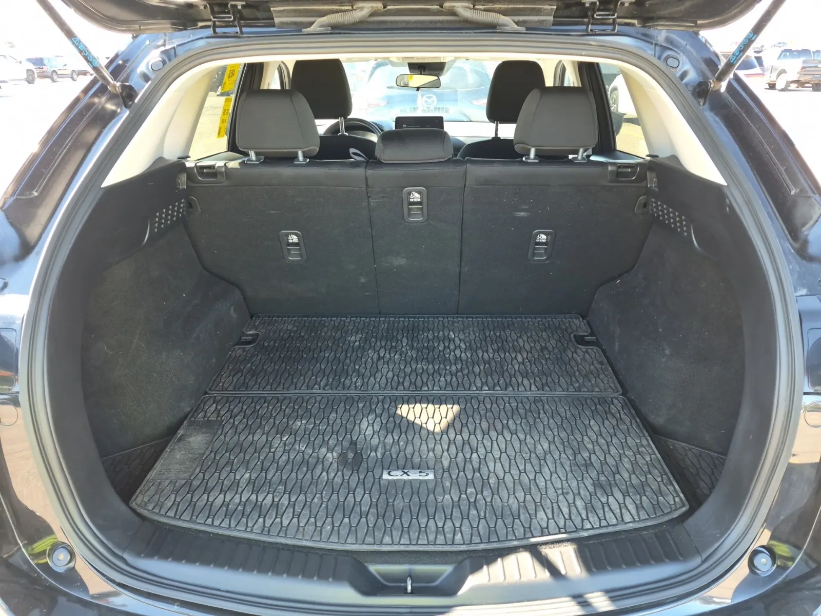 Cargo Area Photo