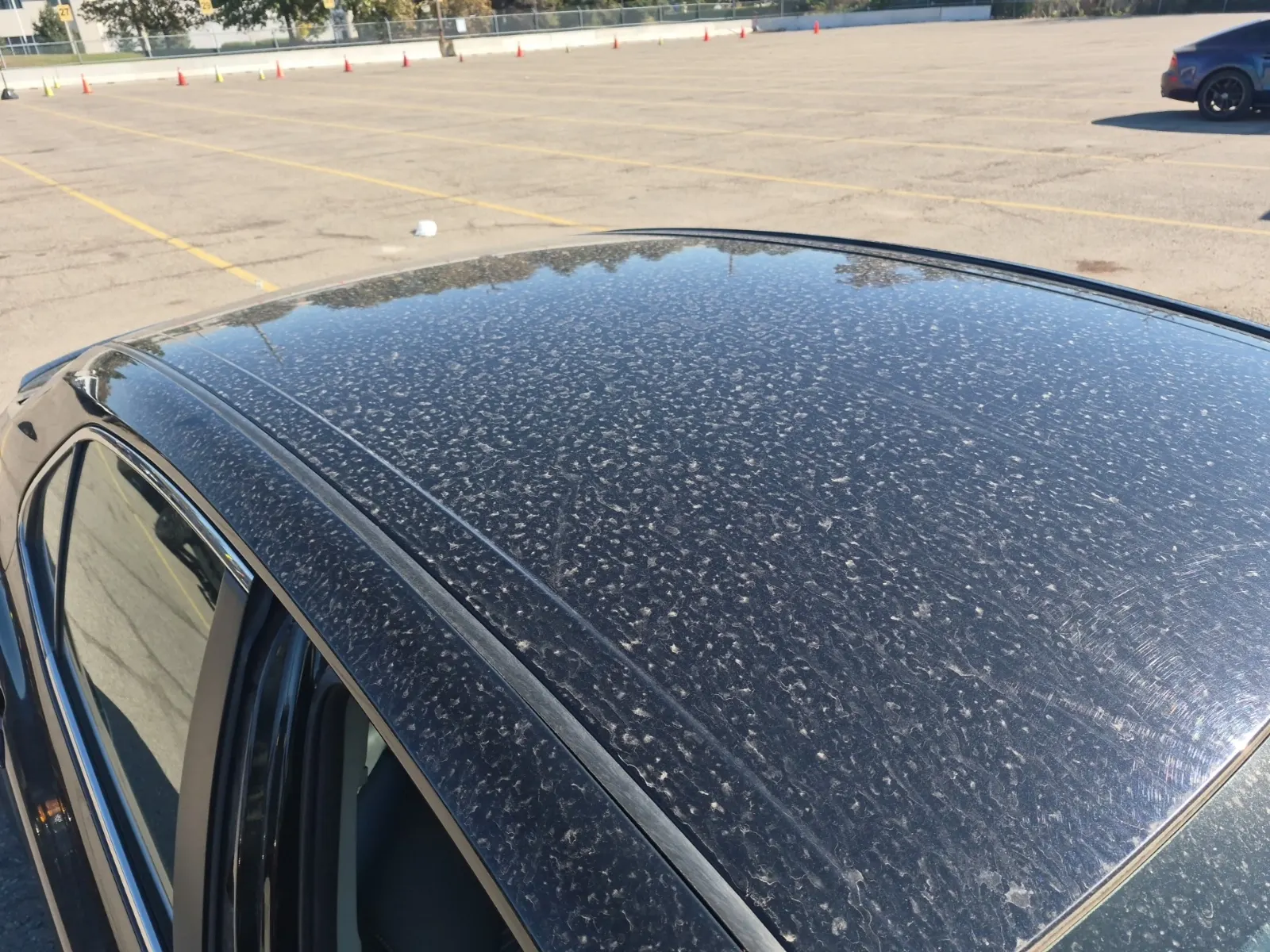 Exterior Roof Photo