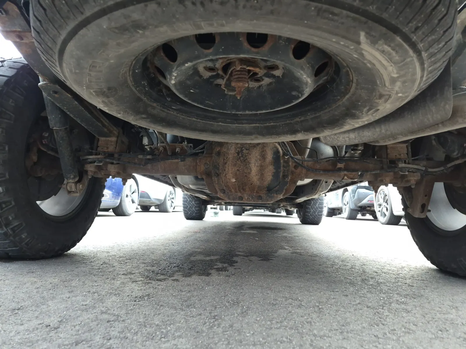 Undercarriage - Rear Photo