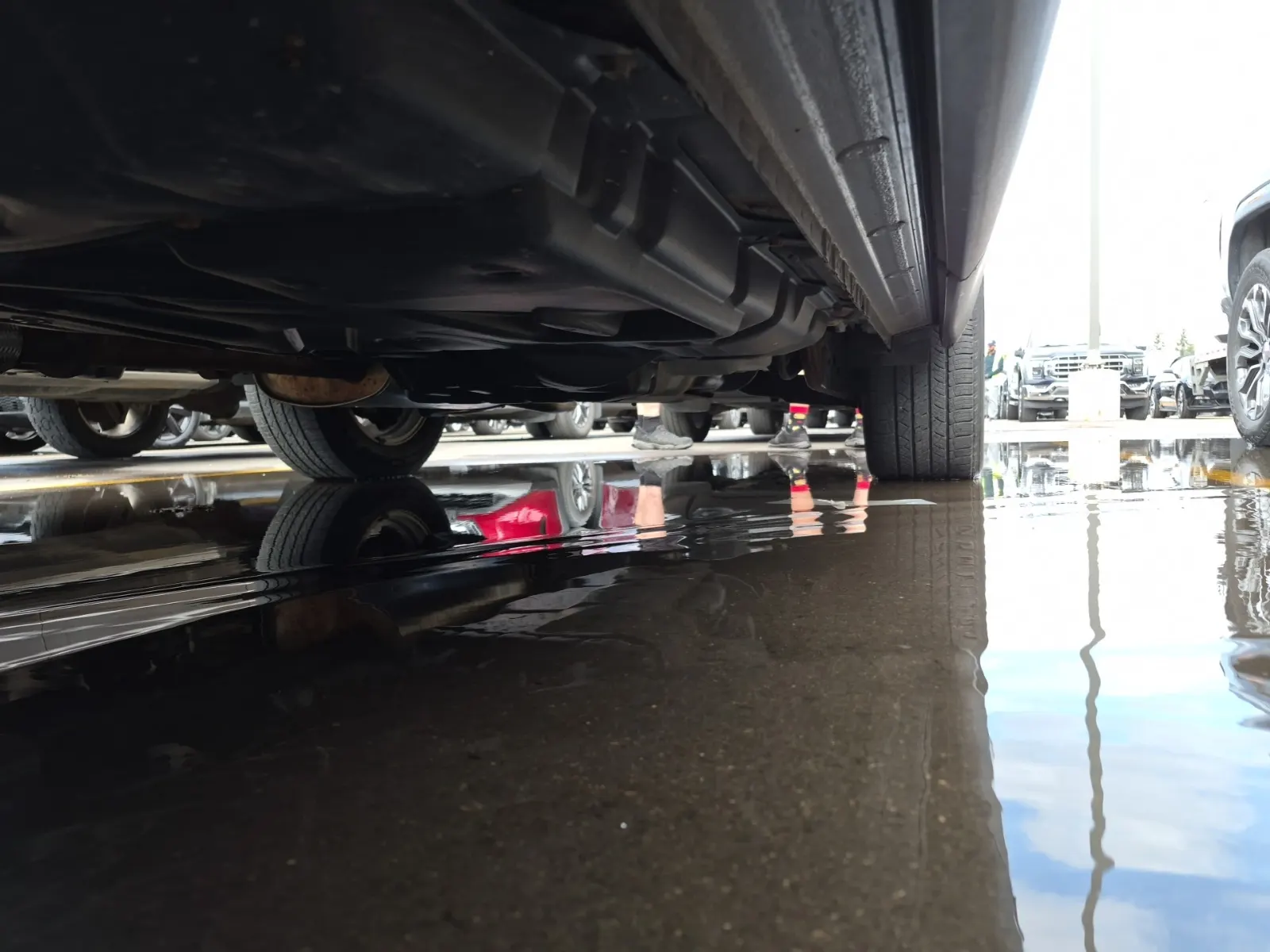 Undercarriage - Driver Photo