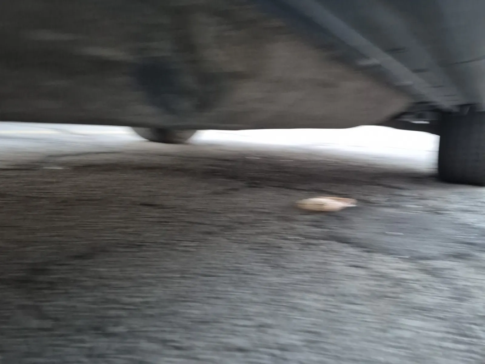 Undercarriage - Passenger Photo