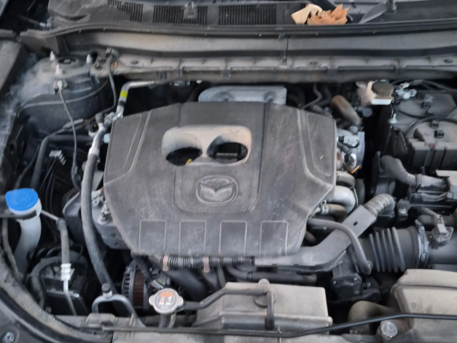 Engine Photo