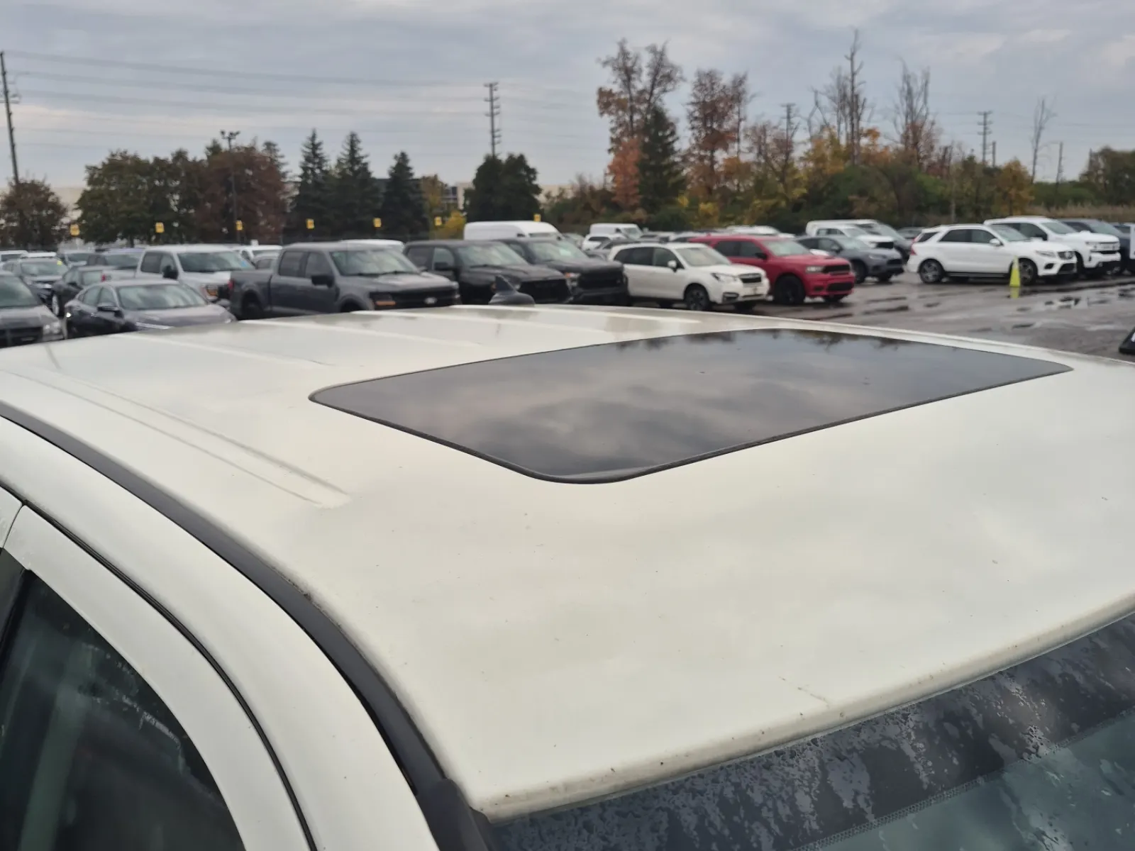 Exterior Roof Photo