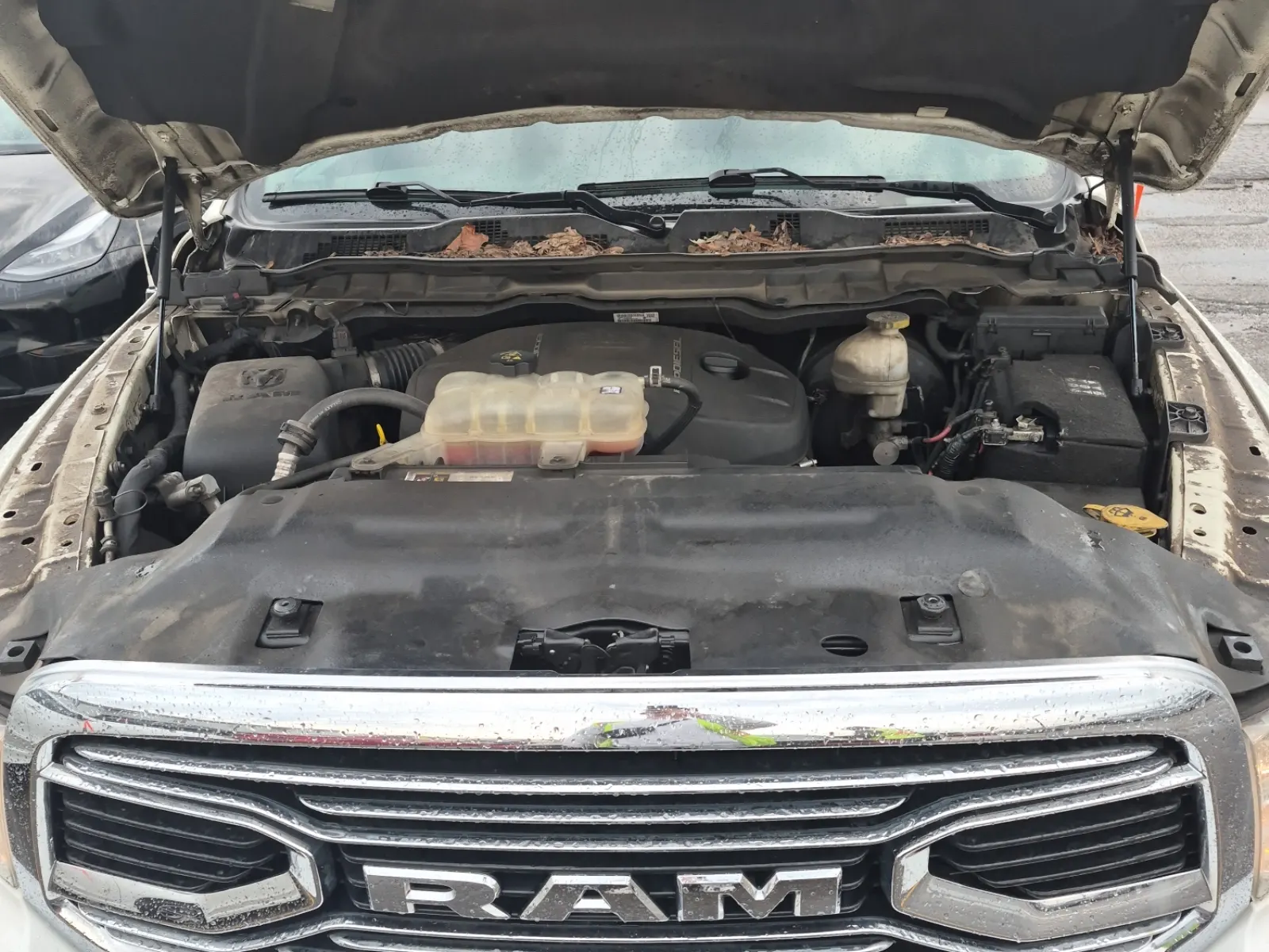 Engine Photo