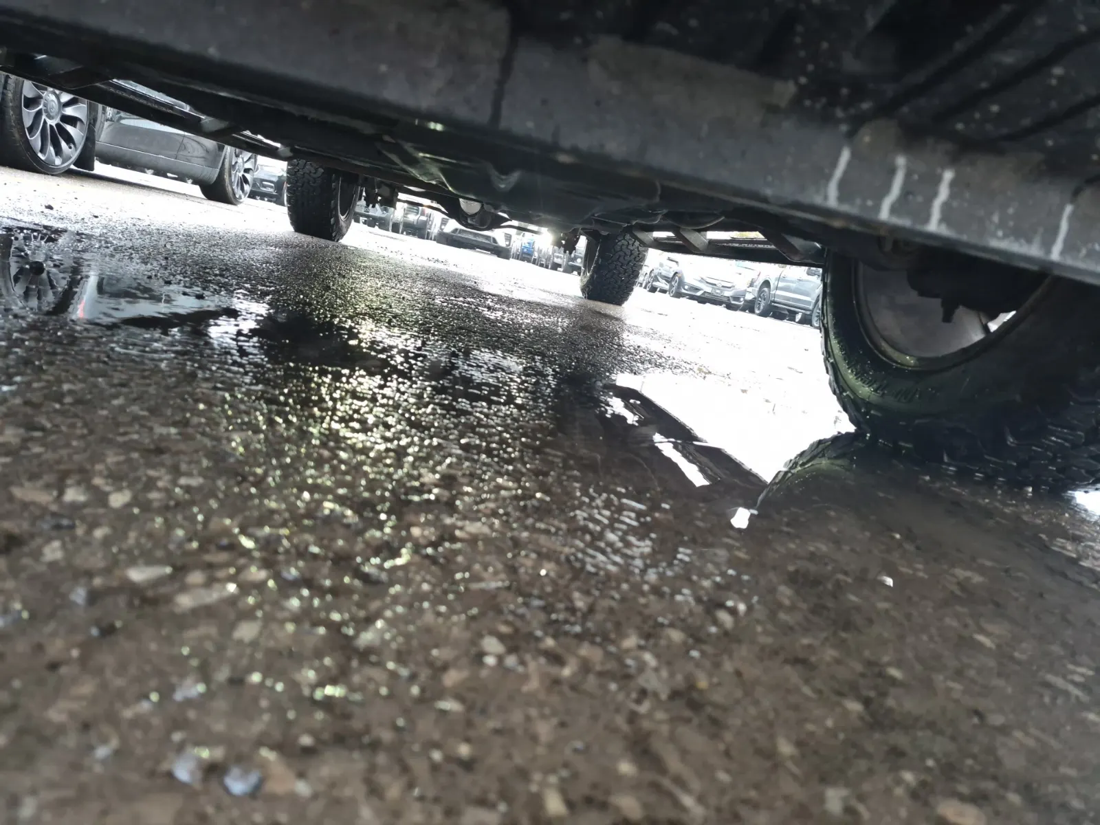 Undercarriage - Front Photo